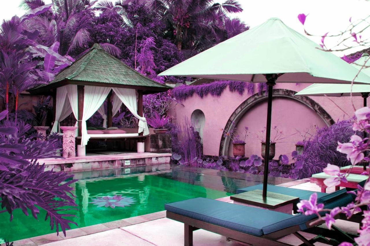 Bebek Tepi Sawah Restaurant & Villas Ubud  Room photo